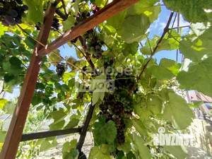 Дом 260м&sup2;, 2-этажный, участок 6 сот.  