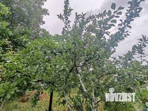 Дом 20м², 1-этажный, участок 5 сот.  