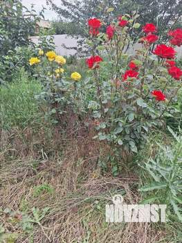 Дом 200м&sup2;, 2-этажный, участок 5 сот.  