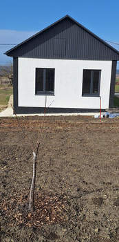 Дом 68м&sup2;, 1-этажный, участок 4 сот.  