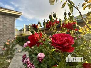 Дом 125м&sup2;, 1-этажный, участок 4 сот.  