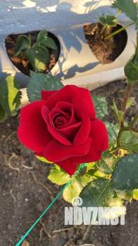 Дом 90м&sup2;, 2-этажный, участок 5 сот.  