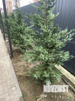 Дом 184м², 2-этажный, участок 8 сот.  