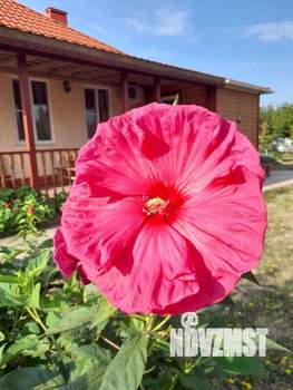 Дом 70м², 1-этажный, участок 10 сот.  