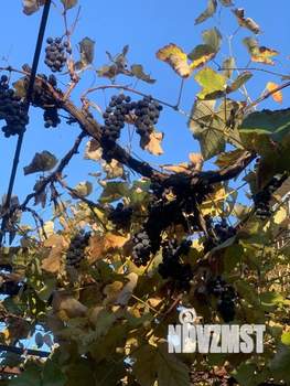 Дом 392м², 2-этажный, участок 6 сот.  