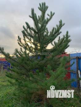 Дом 36м&sup2;, 1-этажный, участок 10 сот.  