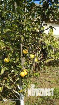 Дом 117м², 2-этажный, участок 6 сот.  