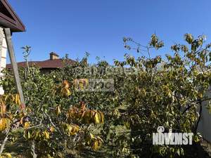 Дом 85м&sup2;, 1-этажный, участок 6 сот.  