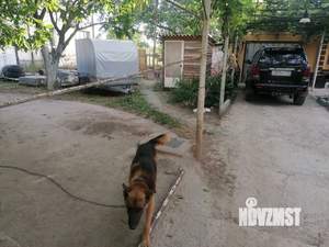 Дом 150м&sup2;, 1-этажный, участок 9 сот.  