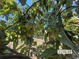 Дом 100м², 2-этажный, участок 6 сот.  