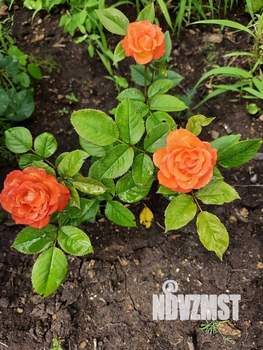 Дом 25м&sup2;, 2-этажный, участок 27 сот.  