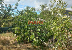 Дом 62м², 1-этажный, участок 6 сот.  