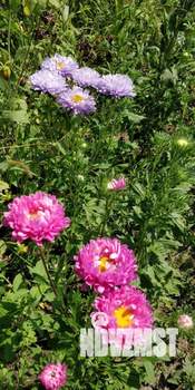 Дом 72м&sup2;, 1-этажный, участок 17 сот.  