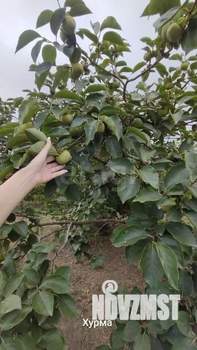 Дом 245м², 3-этажный, участок 20 сот.  