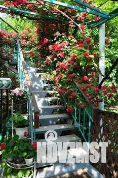 Дом 300м&sup2;, 2-этажный, участок 5 сот.  