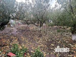 Дом 121м², 1-этажный, участок 9 сот.  