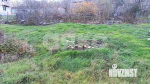 Дом 12м&sup2;, 1-этажный, участок 5 сот.  