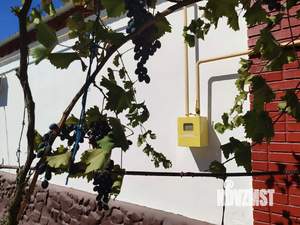 Дом 135м&sup2;, 1-этажный, участок 9 сот.  