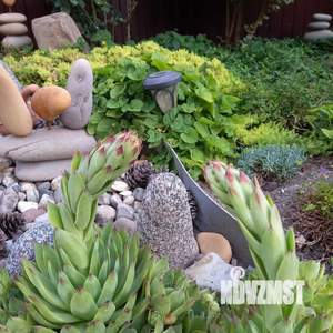 Дом 147м², 2-этажный, участок 4 сот.  