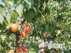 Дом 132м², 2-этажный, участок 7 сот.  