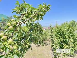 Дом 159м&sup2;, 2-этажный, участок 10 сот.  