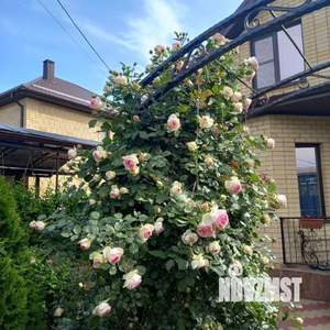 Дом 147м², 2-этажный, участок 4 сот.  