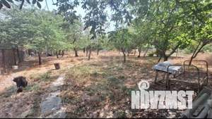 Дом 24м&sup2;, 1-этажный, участок 5 сот.  