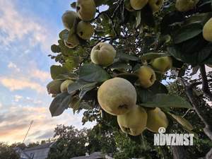 Дом 130м², 2-этажный, участок 9 сот.  