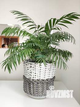 Дом 50м², 1-этажный, участок 5 сот.  