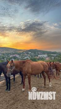 Дом 50м², 1-этажный, участок 5 сот.  