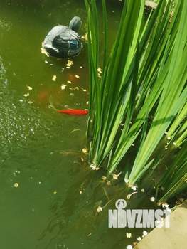 Дом 320м&sup2;, 2-этажный, участок 4 сот.  