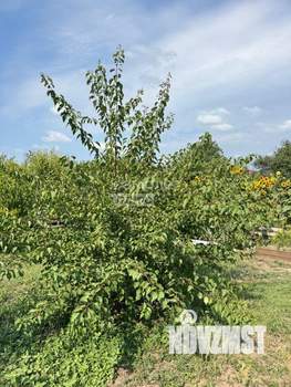 Коттедж 155м&sup2;, 2-этажный, участок 6 сот.  