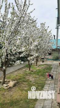 Дом 239м&sup2;, 2-этажный, участок 8 сот.  