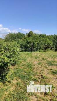 Дом 245м&sup2;, 3-этажный, участок 20 сот.  