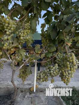 Дом 120м&sup2;, 2-этажный, участок 9 сот.  