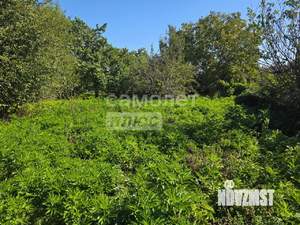 Дом 83м&sup2;, 1-этажный, участок 10 сот.  