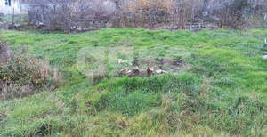 Дом 12м², 1-этажный, участок 5 сот.  