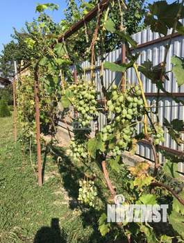 Дом 200м&sup2;, 2-этажный, участок 11 сот.  