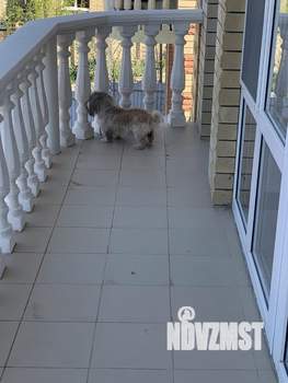 Дом 117м², 2-этажный, участок 3 сот.  