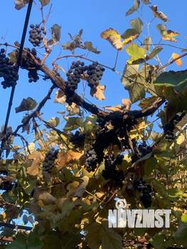 Дом 392м&sup2;, 2-этажный, участок 6 сот.  