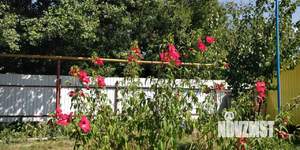 Дом 72м&sup2;, 1-этажный, участок 17 сот.  