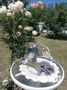 Дом 56м², 1-этажный, участок 6 сот.  