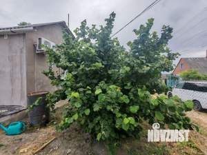 Дом 20м², 1-этажный, участок 5 сот.  