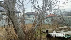 Дом 56м², 2-этажный, участок 7 сот.  