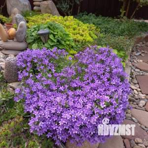 Дом 147м², 2-этажный, участок 4 сот.  