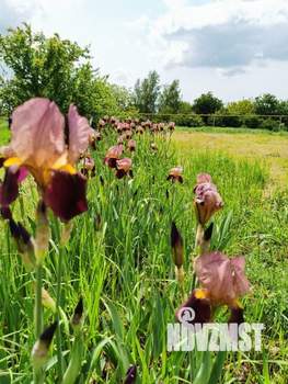 Дом 110м&sup2;, 2-этажный, участок 8 сот.  