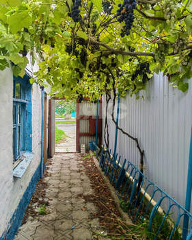 Дом 35м&sup2;, 1-этажный, участок 3 сот.  