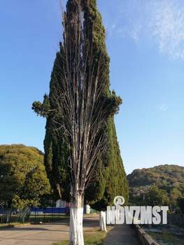 Дом 65м², 1-этажный, участок 4 сот.  