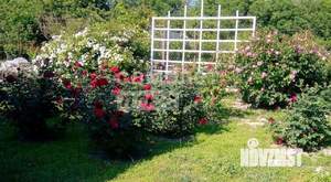 Дом 140м&sup2;, 1-этажный, участок 15 сот.  