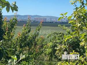 Дом 48м&sup2;, 1-этажный, участок 6 сот.  